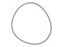 JLG Part # 1001300887 | O'RING,4 1/4 X 4 3/8 X 1/16, EA