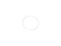JLG Part # 70008158 | O-RING, BACKUP, EA