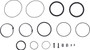 JLG Part # GN62417GT | GN-KIT, SEAL, EA