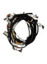 JLG Part # 1001285016 | HARNESS,VALVE 800A/AJ, EA