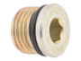 JLG Part # 70029887 | PLUG, EA