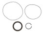 JLG Part # GENIE-106508HS | HS-SEAL, KIT, EA