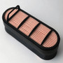 JLG Part # MN12684 | MN-D/S,AIR FILTER SAFETY, EA