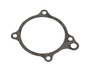 JLG Part # Z103152GM | GM-GASKET, WATER PUMP, EA