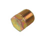 JLG Part # Z62500029 | GM-PLUG, MUFFLER, EA