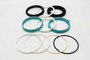 Genie Lift Part # 101251GT - SEAL KIT (88571), EA