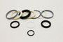 Genie Lift Part # 101253GT - SEAL KIT (88668), EA