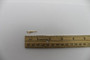 Genie Lift Part # 107650GT - TERM PIN GOLD DTM, 16-20GA, EA