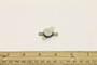 Genie Lift Part # 119641GT - SWITCH,THERMOSTAT 85F OPEN, EA