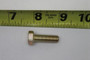 Genie Lift Part # 13002GT - SCREW,HHC,5/16-18 X 1 GR5, EA