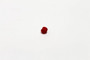 Genie Lift Part # 138008GT - RED PUSH BUTTON COVER (117623), EA