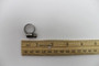 Genie Lift Part # 21465GT - CLAMP,HOSE,.25" - .63" X .3125, EA