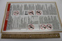 Genie Lift Part # 32700GRGT - DECAL,DANGER,GEN SAFETY RULES, EA