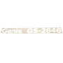 Genie Lift Part # 62057GT - DECAL,COSMETIC,GENIE GS-2646, EA