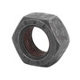 Genie Lift Part # 7-229-596GT - NUT, EA