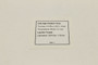 Genie Lift Part # 82229GT - DECAL,NOTICE,HI FLOAT TIRES, EA