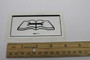 Genie Lift Part # 82812GT - DECAL,LABEL,READ THE SERV MAN*, EA