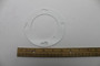 Genie Lift Part # 833570GT - RING REINFORCING FORR, EA