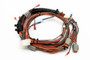 Genie Lift Part # 94966GT - HARNESS,PCON, EA
