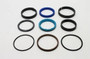 Genie Lift Part # 97131GT - SEAL KIT (96579), EA