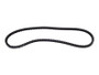 JLG Part # 0480124 | BELT, GENERATOR NOTCHED, EA