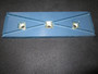 JLG Part # 1001117653 | PAD,WEAR, EA