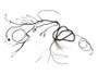 JLG Part # 1001098840 | HARNESS,ENGINE CAT / PERKINS, EA