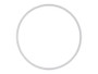 JLG Part # 10791480 | RING, BACK UP -, EA