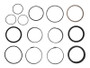 JLG Part # 2902081 | KIT, SEAL 1350SJP TELE CYL, EA