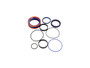 JLG Part # 2706920001 | 3 ARM CYLINDER GASKET KIT, EA
