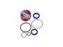 JLG Part # 2706940001 | CYLINDER GASKET KIT, EA