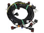 JLG Part # 4923522 | HARNESS,MAIN VALVE, EA