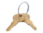 JLG Part # 7012587 | SET OF 2 KEYS, EA