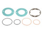 JLG Part # 7024194 | KIT, BRAKE SEAL, EA - subs to 70006833