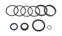JLG Part # 7027698 | KIT, SEAL, EA