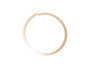JLG Part # 8036855 | RING BACKUP, EA