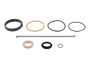 JLG Part # 10719382 | SEAL KIT, EA
