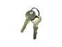 JLG Part # 1101203 | KEY,REP. FOR 1101202/2KEYS, EA