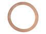 JLG Part # 7017904 | GASKET, DRAIN PLUG, EA