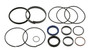 JLG Part # 8036561 | SEAL KIT FOR REAR CARRIAGE TIL, EA