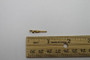 Genie Lift Part # 137697GT - TERMINAL, PIN, AU, 18-20GA, EA