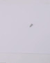JLG Part # 4191406 | SCREW, THD ROLLING 4MM X 12MM, EA