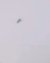 JLG Part # 4191707 | SCREW, 6MM X 16MM, EA