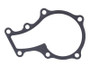 JLG Part # 70004854 | GASKET, WATER PUMP, EA