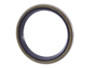 JLG Part # 1001187383 | SEAL,LSS, EA