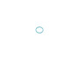JLG Part # 70025433 | SEALING RING, EA