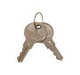 JLG Part # GN52293GT | GN-SPARE KEY, EA