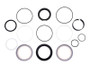 JLG Part # GN63347GT | GN-KIT,SEAL,CYL,Z60, EA