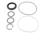 JLG Part # GN65617GT | GN-SEAL KIT, EA