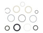 JLG Part # GN75470GT | GN-KIT,SEAL,CYL, EA